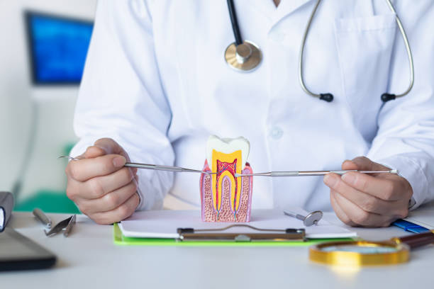 Best Broken or Chipped Tooth Repair in Tequesta, FL